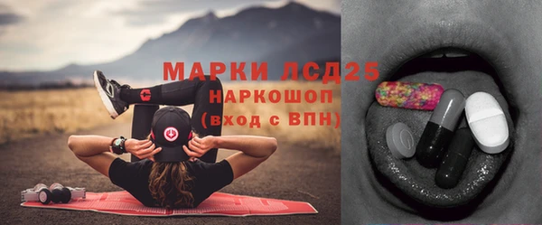 стаф Нея
