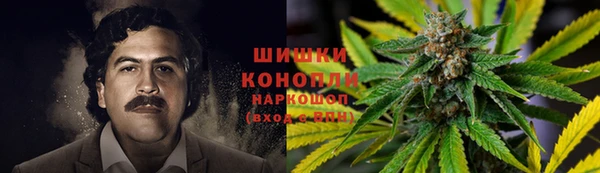 прущие крисы Нефтекумск