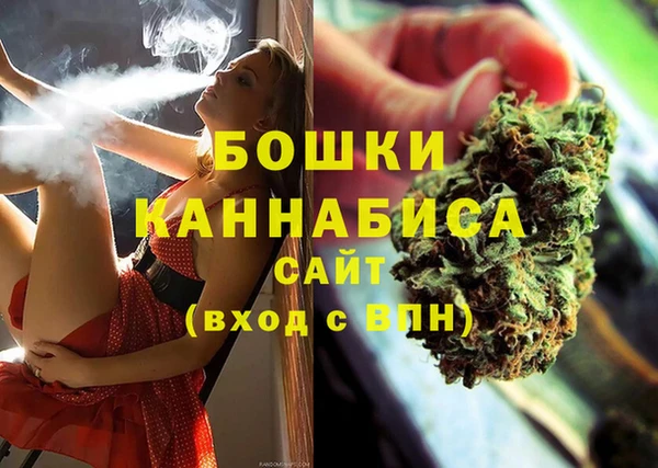 стаф Нея