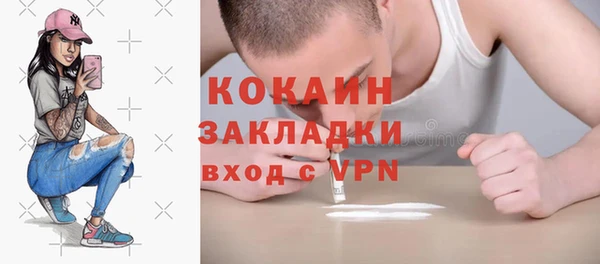 стаф Нея