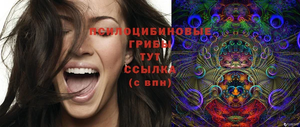 стаф Нея